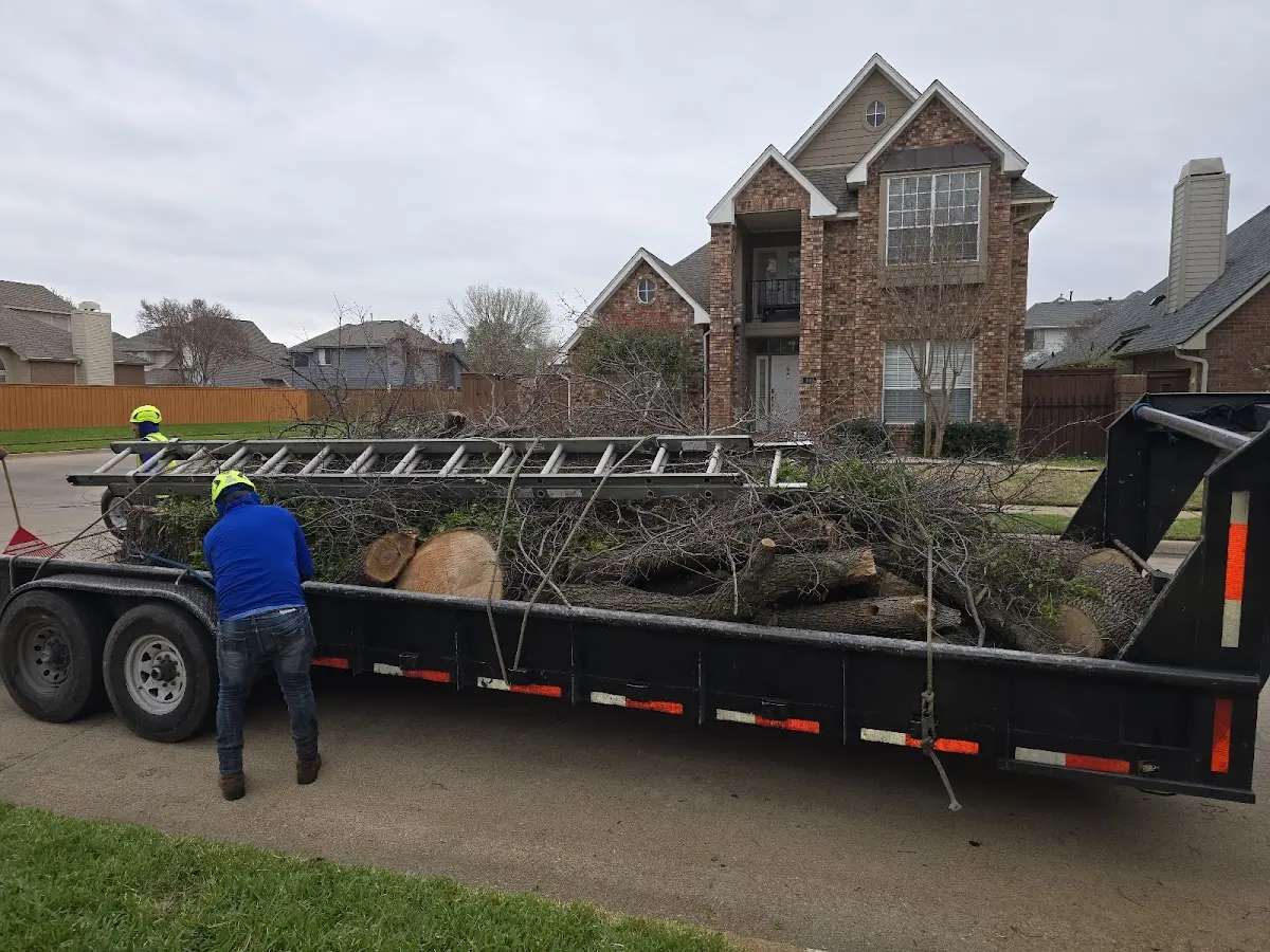 Expert Crown Reduction with proper safety equipment in Richvale